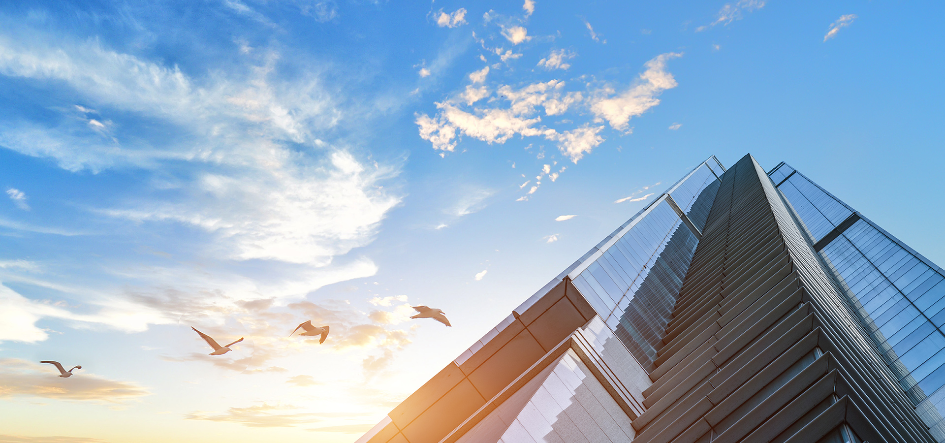 真诚  坚忍  改变  至善  关爱  共赢